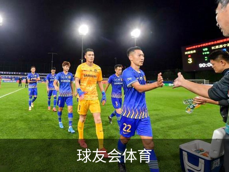 球友会体育概况